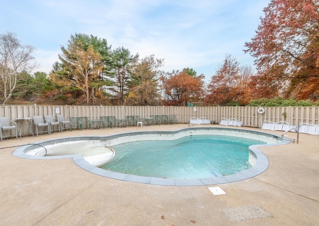 view of pool with a patio