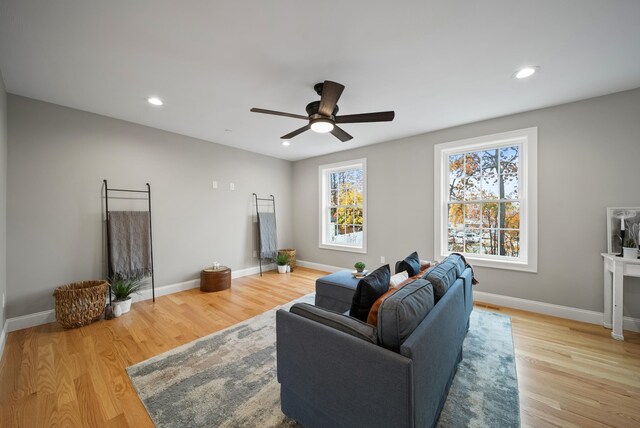 living room with ceiling fan and light hardwood / wood-style flooring