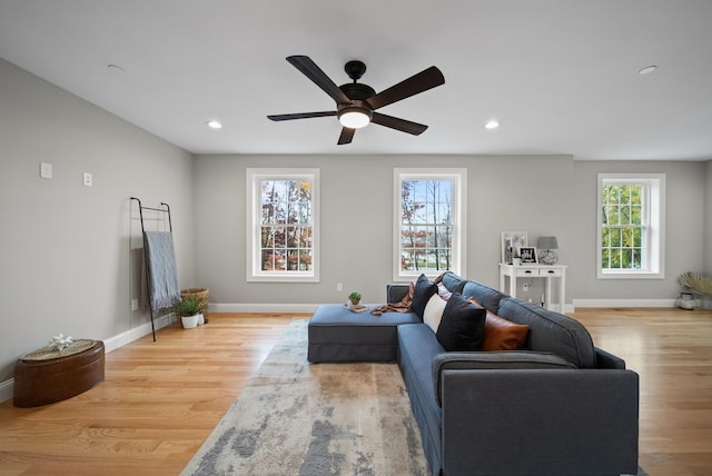 living room with light hardwood / wood-style floors and ceiling fan