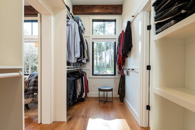 spacious closet with beam ceiling and light wood-type flooring