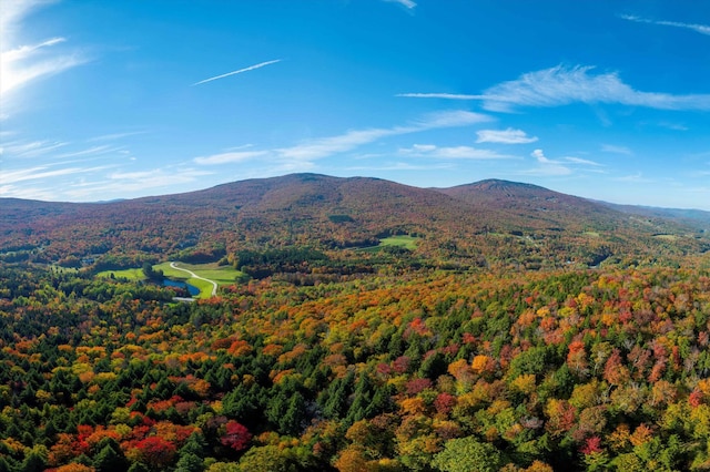 property view of mountains