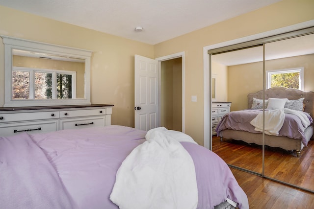 bedroom with wood-type flooring and a closet