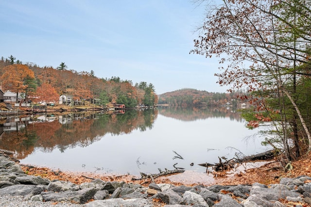 155 E Shore Dr, Weare, NH 03281 - water view featuring a forest