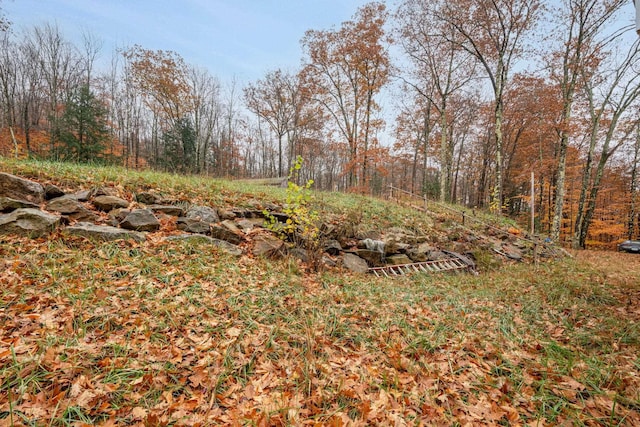 155 E Shore Dr, Weare, NH 03281 - view of yard
