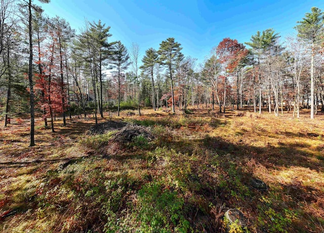 Listing photo 2 for LOT42 Winchester Ln, Tuftonboro NH 03816