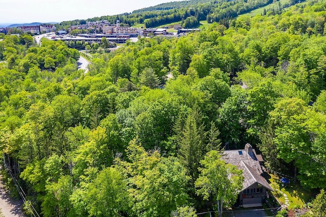 11 Founders Hill Rd, Winhall, VT 05340 - aerial view with a forest view