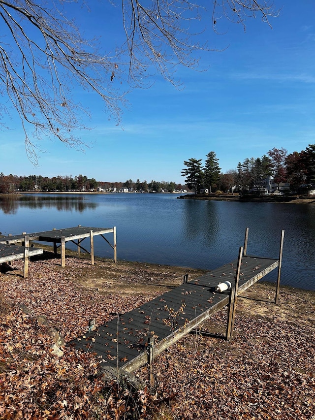 dock area featuring a water view