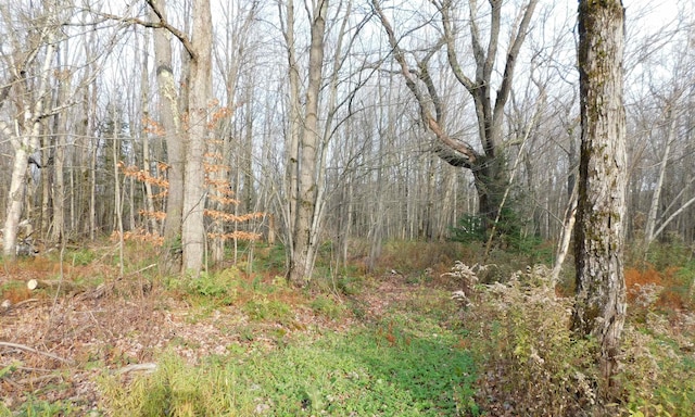 view of landscape