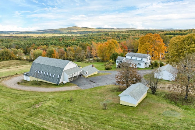 bird's eye view