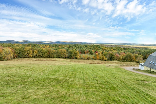 view of yard featuring a mountain view