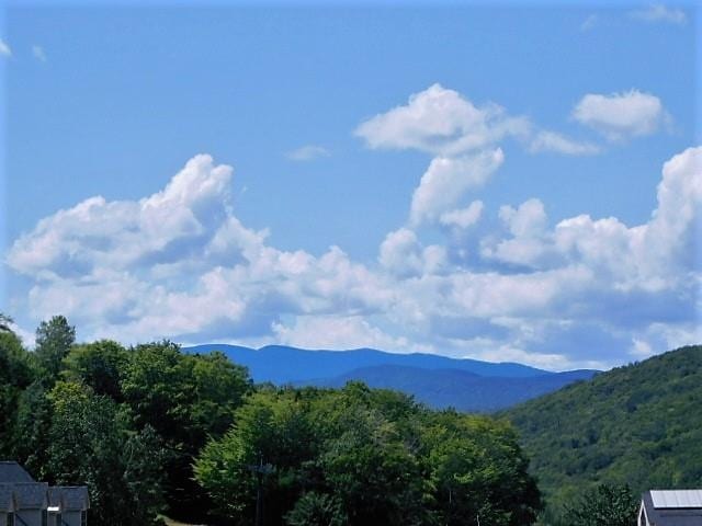 view of mountain feature