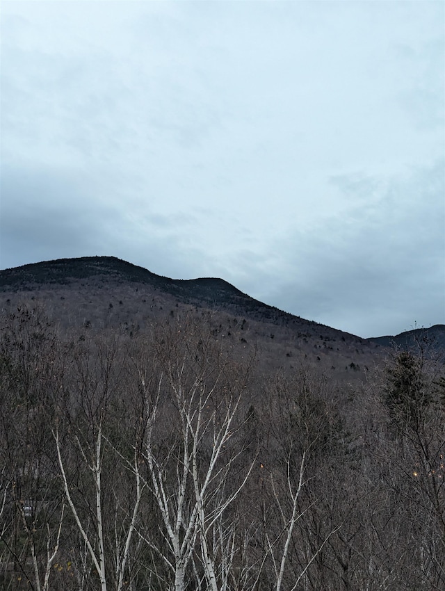 view of mountain feature