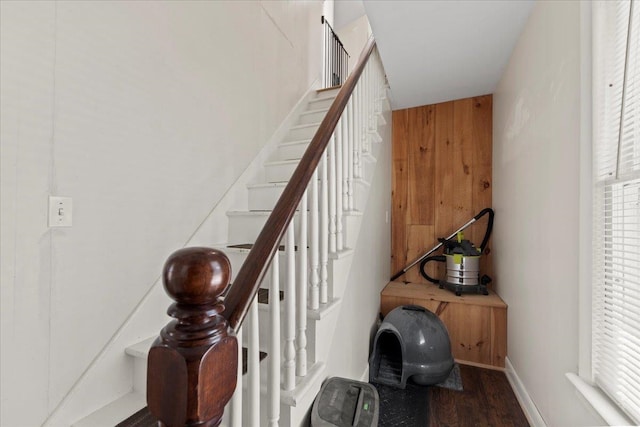 stairs featuring wooden walls and hardwood / wood-style flooring