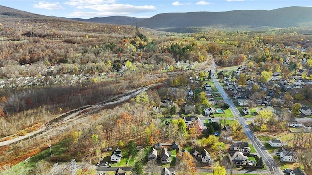 bird's eye view featuring a mountain view