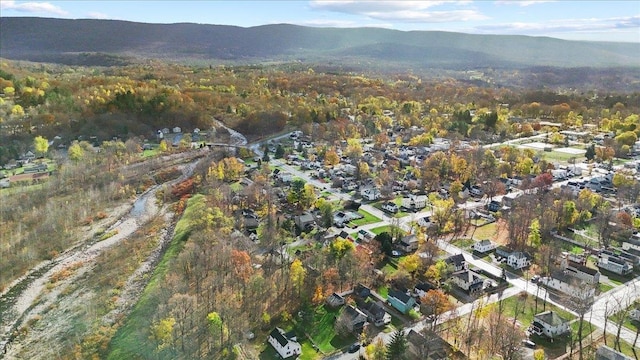 bird's eye view featuring a mountain view