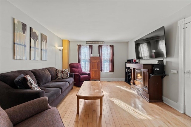 living room featuring light hardwood / wood-style floors