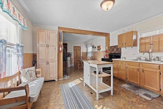 kitchen with black / electric stove, sink, and ornamental molding