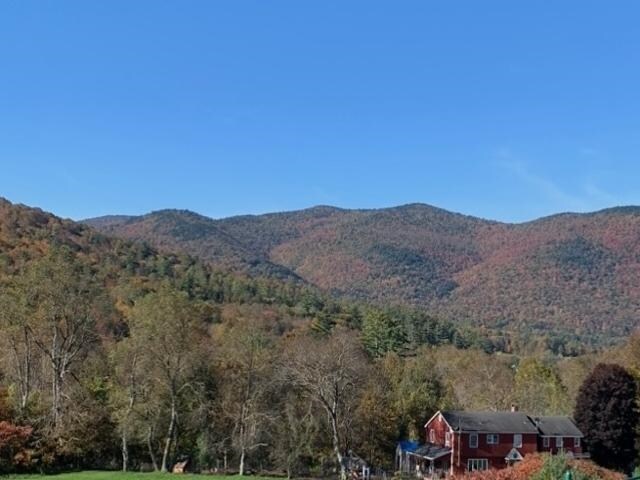 1319 Brandon Mountain Rd, Rochester, VT 05767 - view of mountain background featuring a heavily wooded area