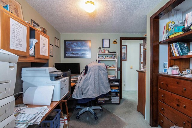 1319 Brandon Mountain Rd, Rochester, VT 05767 - office space featuring light carpet and a textured ceiling