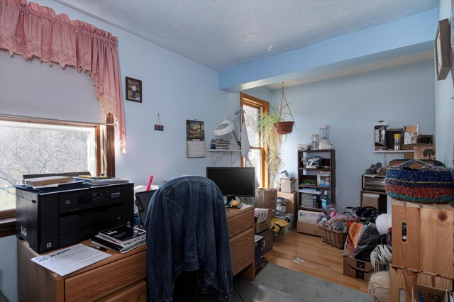 1319 Brandon Mountain Rd, Rochester, VT 05767 - office space featuring wood finished floors