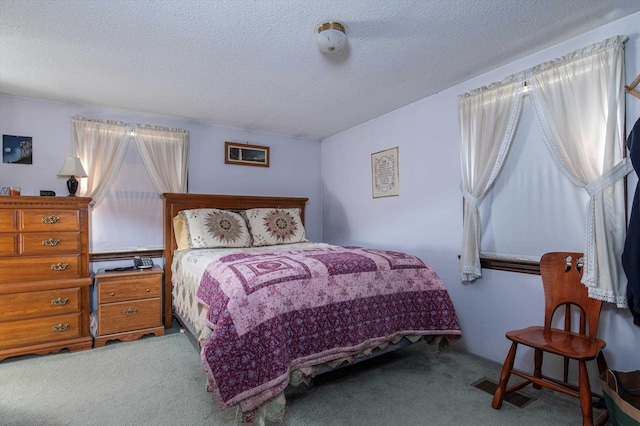 1319 Brandon Mountain Rd, Rochester, VT 05767 - bedroom featuring carpet and a textured ceiling
