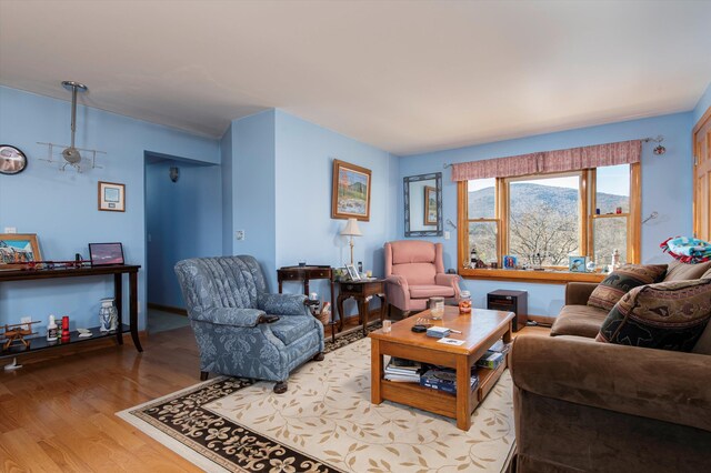 1319 Brandon Mountain Rd, Rochester, VT 05767 - living room featuring light wood-style floors
