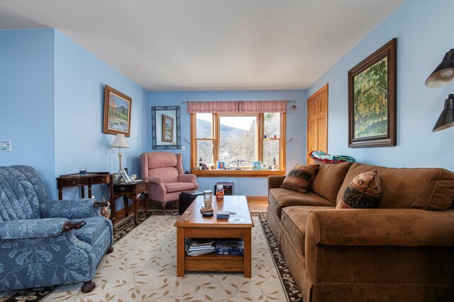 1319 Brandon Mountain Rd, Rochester, VT 05767 - view of living room