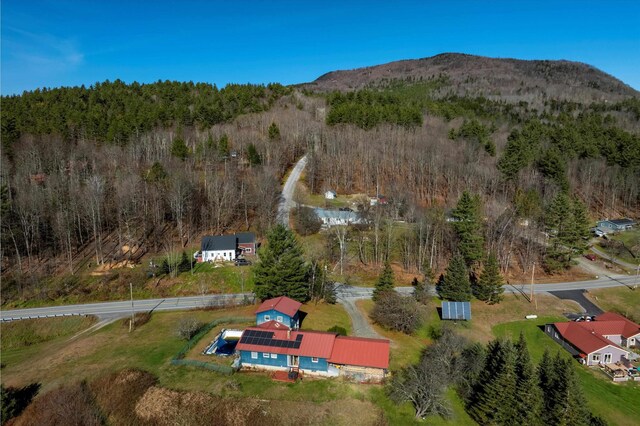 1319 Brandon Mountain Rd, Rochester, VT 05767 - view of property location featuring a forest and a mountainous background