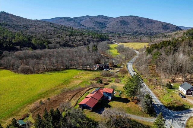 1319 Brandon Mountain Rd, Rochester, VT 05767 - overview of rural landscape featuring mountains and a forest