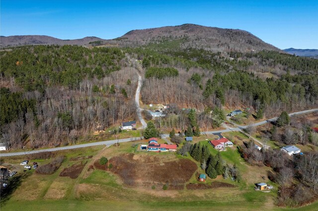 1319 Brandon Mountain Rd, Rochester, VT 05767 - view of property location with a mountain backdrop and a heavily wooded area