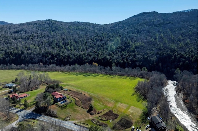 1319 Brandon Mountain Rd, Rochester, VT 05767 - drone / aerial view of a forest and a mountainous background