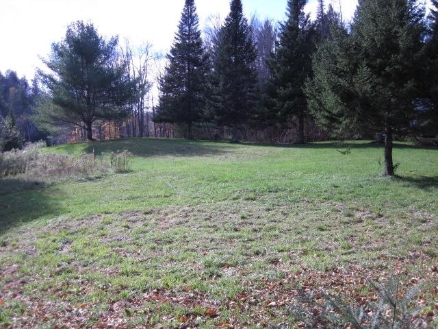 0 Vt Route 14, Woodbury VT, 05681 land for sale