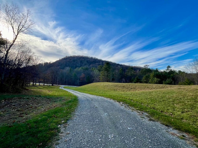 view of road