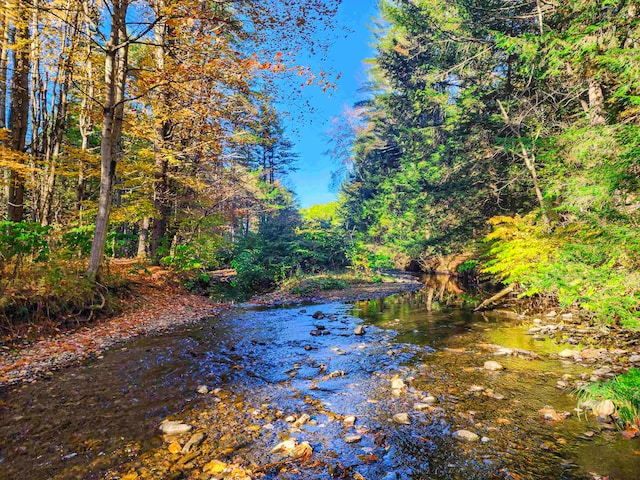 Listing photo 3 for 40 E Putney Brook Rd, Putney VT 05346