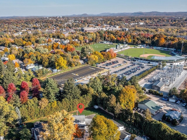 bird's eye view