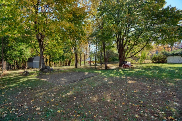 view of yard featuring a storage unit