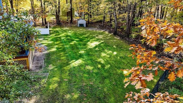 view of yard with a shed