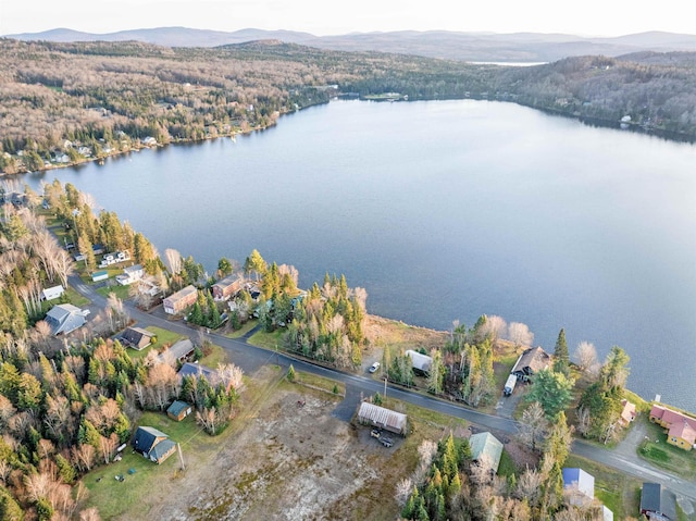 432 Beach Rd, Pittsburg, NH 03592