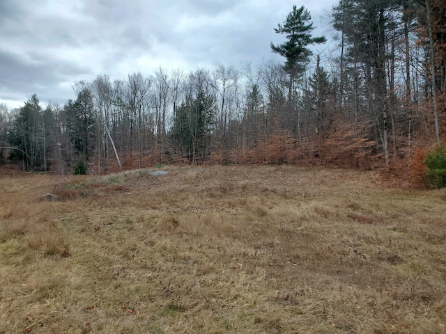 view of local wilderness