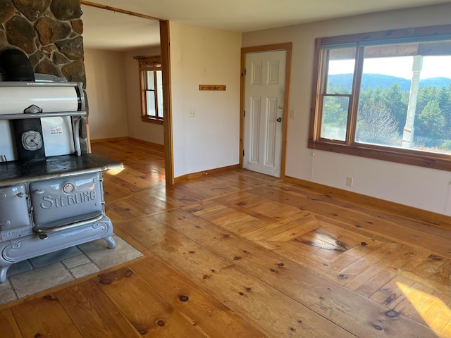 kitchen featuring light hardwood / wood-style floors