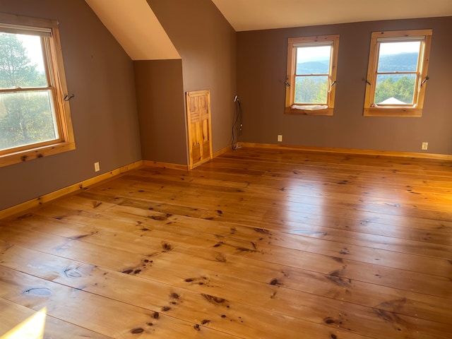 additional living space featuring light wood-type flooring and vaulted ceiling