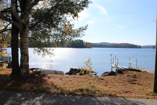 water view featuring a dock