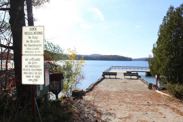 dock area with a water view