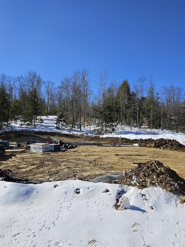 view of yard layered in snow