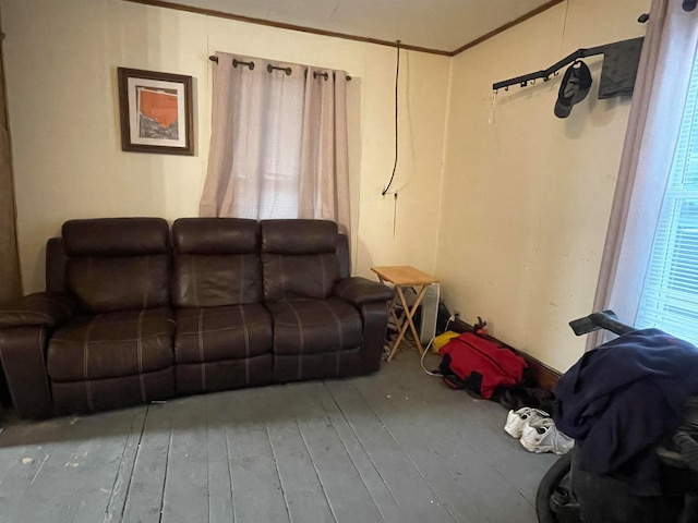 living room featuring ornamental molding and wood-type flooring
