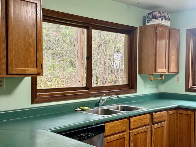 kitchen featuring dishwasher and sink