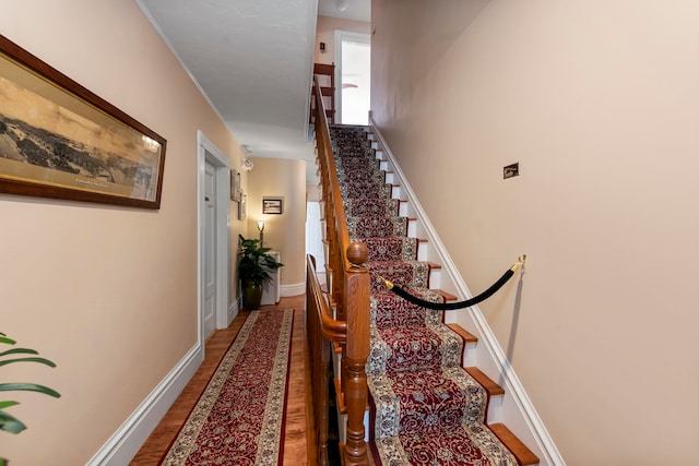 stairs with hardwood / wood-style floors