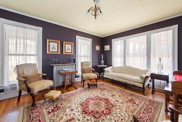 living area featuring hardwood / wood-style floors