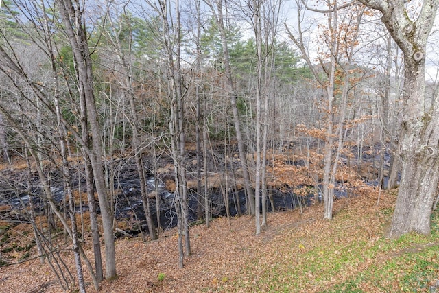 view of landscape