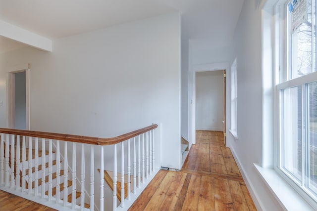 corridor with light hardwood / wood-style flooring and plenty of natural light